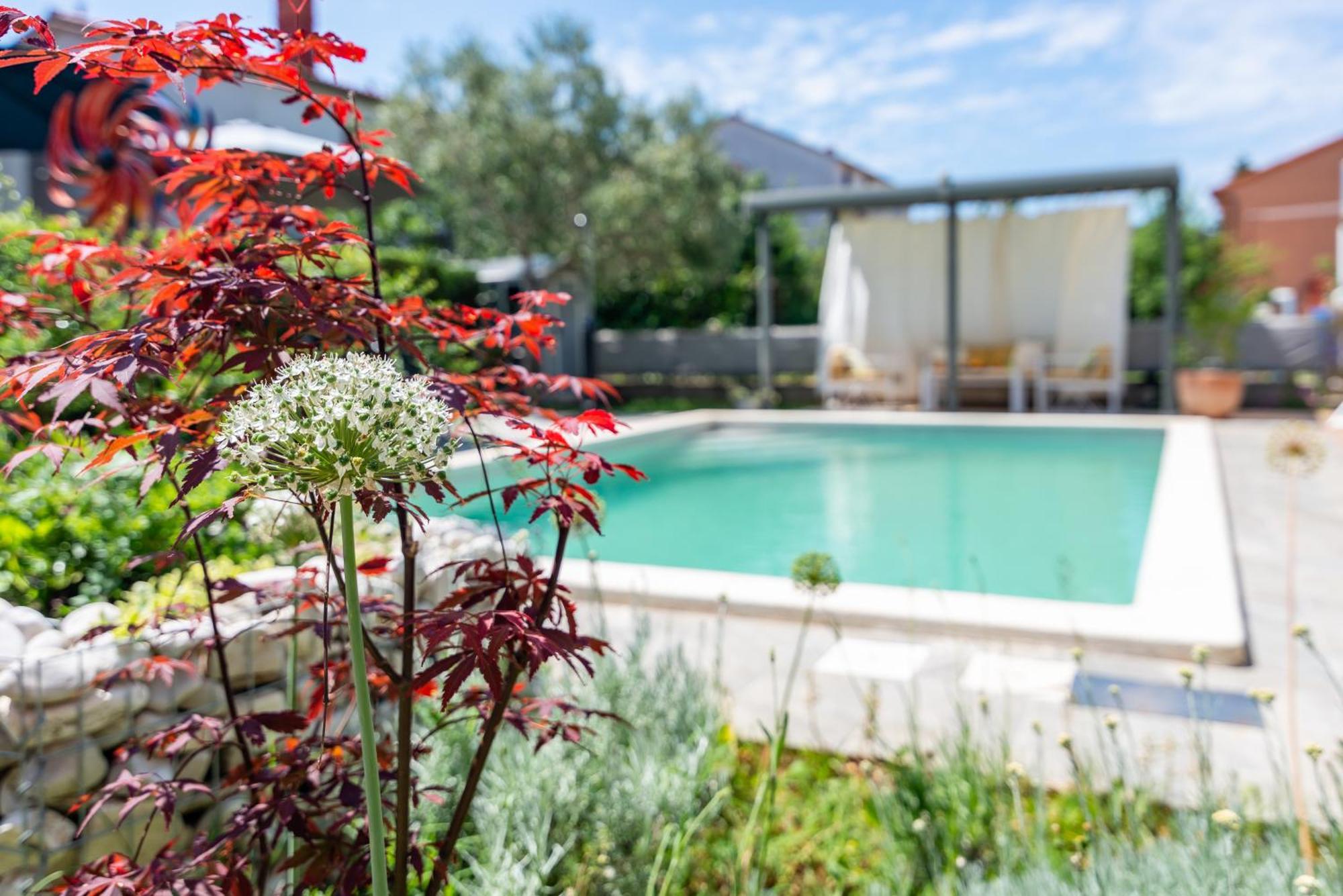 Apartment Superior House With Pool Pula